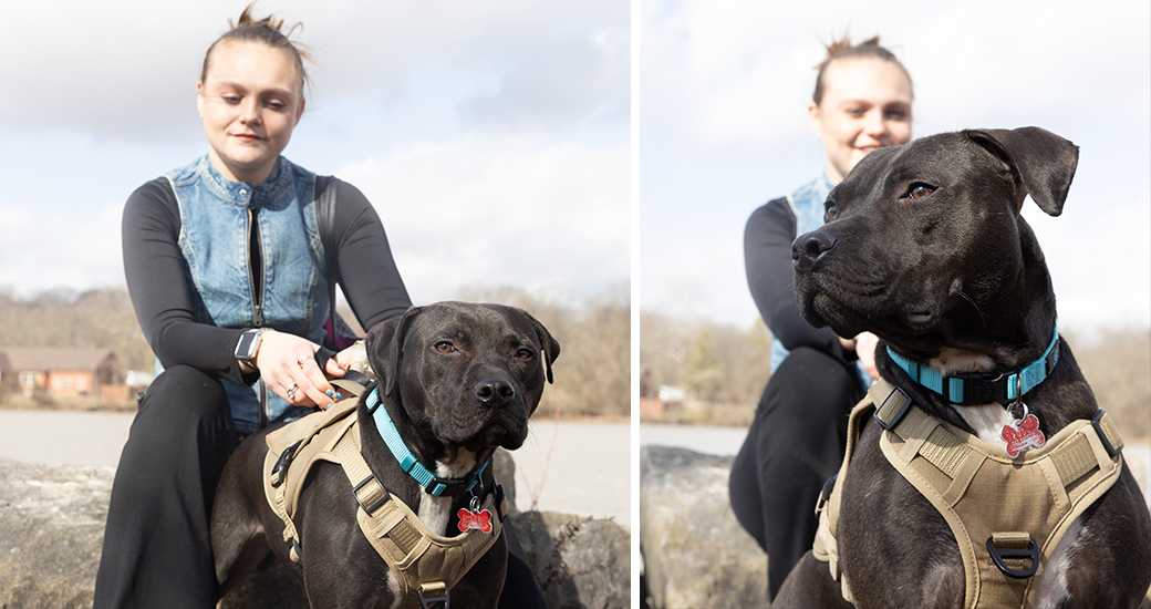 dog and it's adopters outside