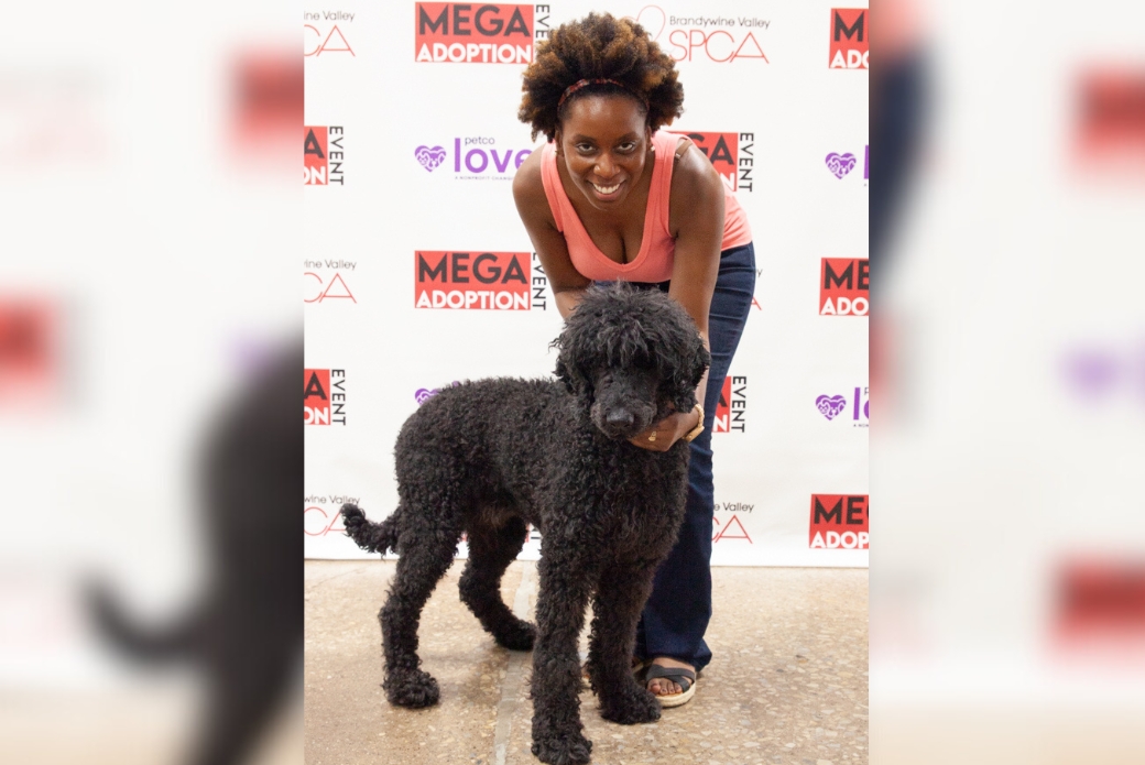 Black poodle mix with new adopter