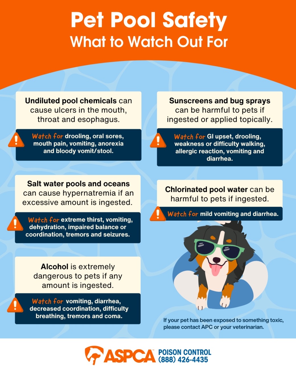 Pool Safety Infographic