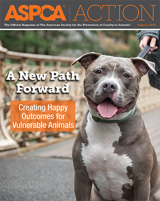 Issue #2, 2023 Issue #2, 2023