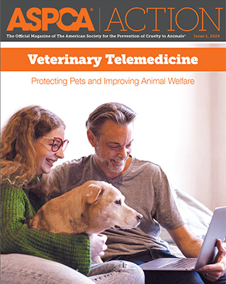 Issue #1, 2024 Issue #1, 2024