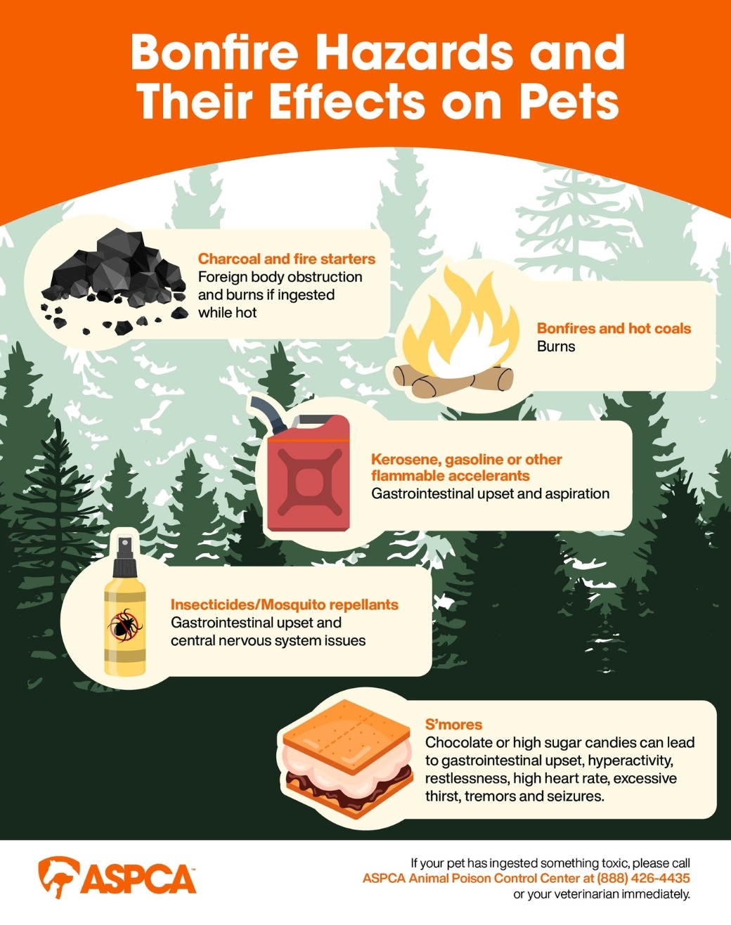 Bonfire pet safety infographic