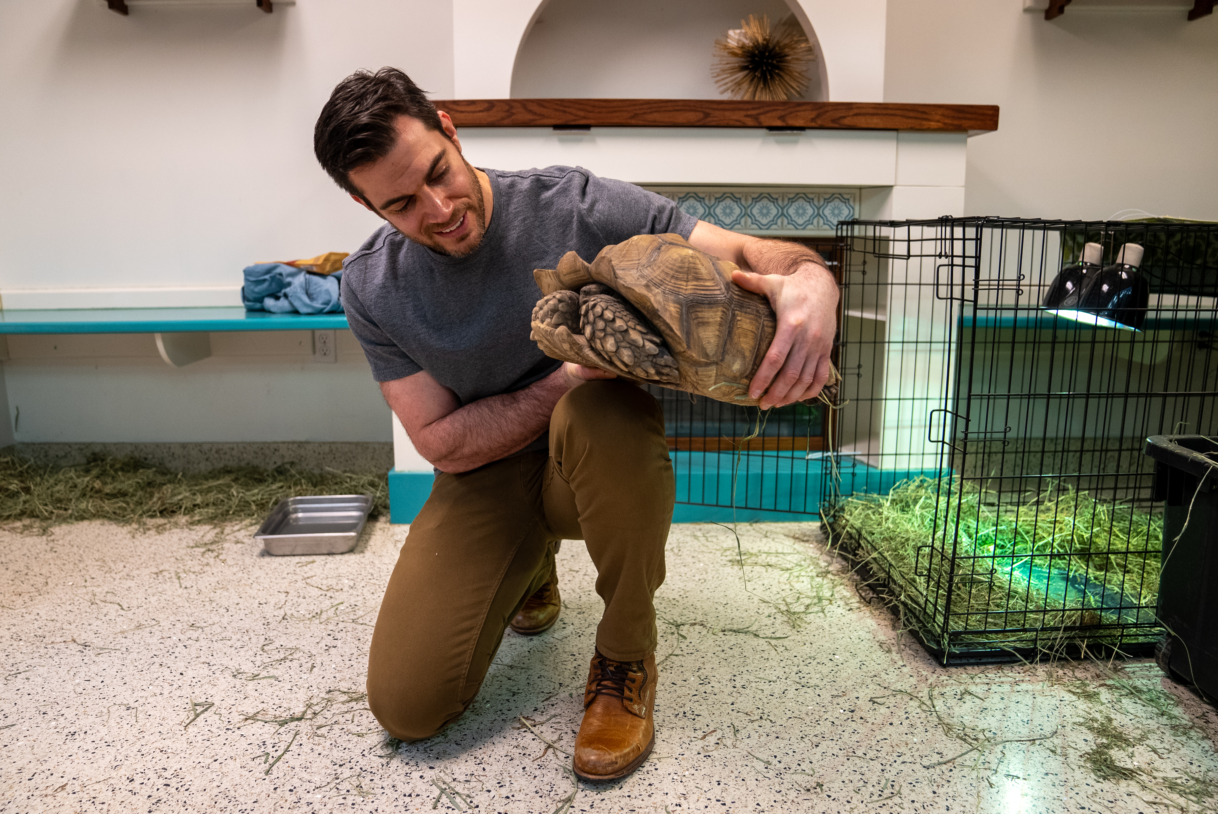 Veterinarian helping rescue tortoise