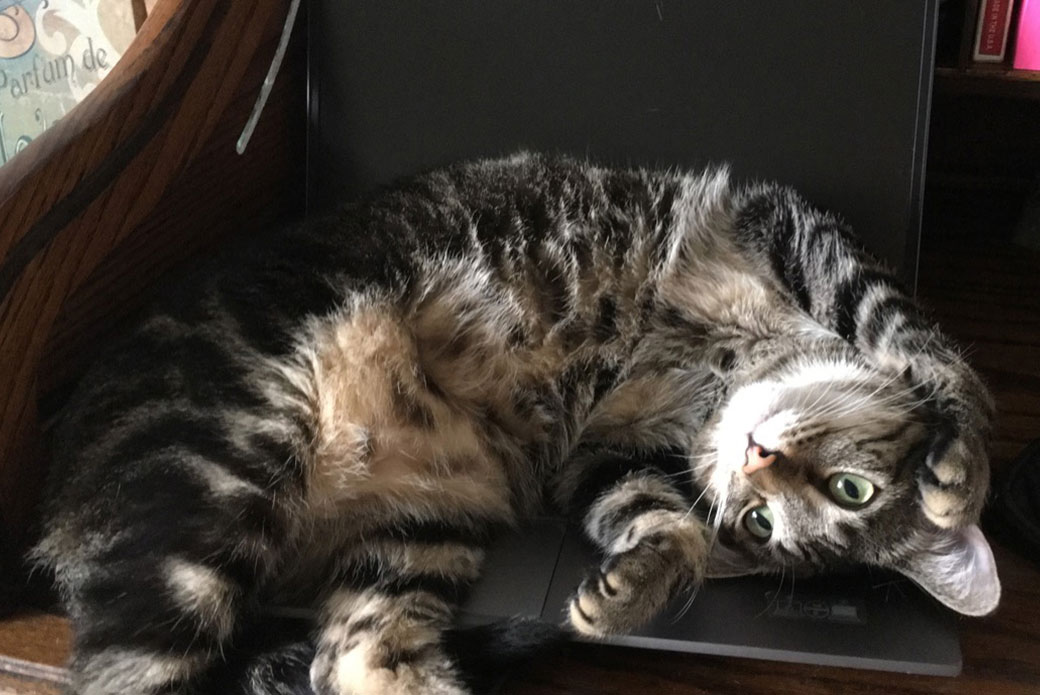 Dora on Roma's computer