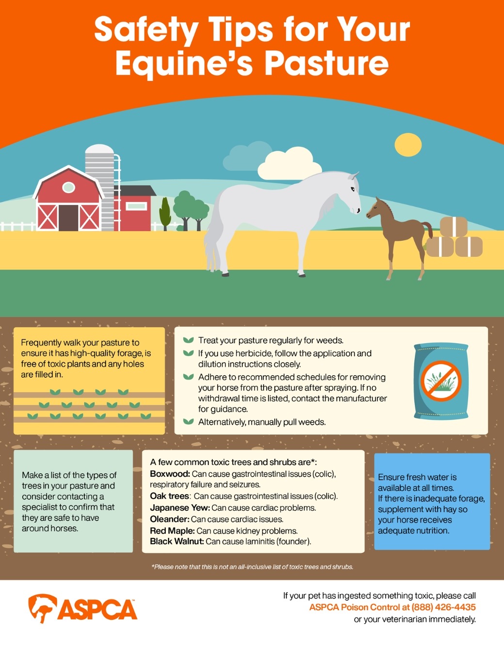 infographic on keeping horse's pastures safe 