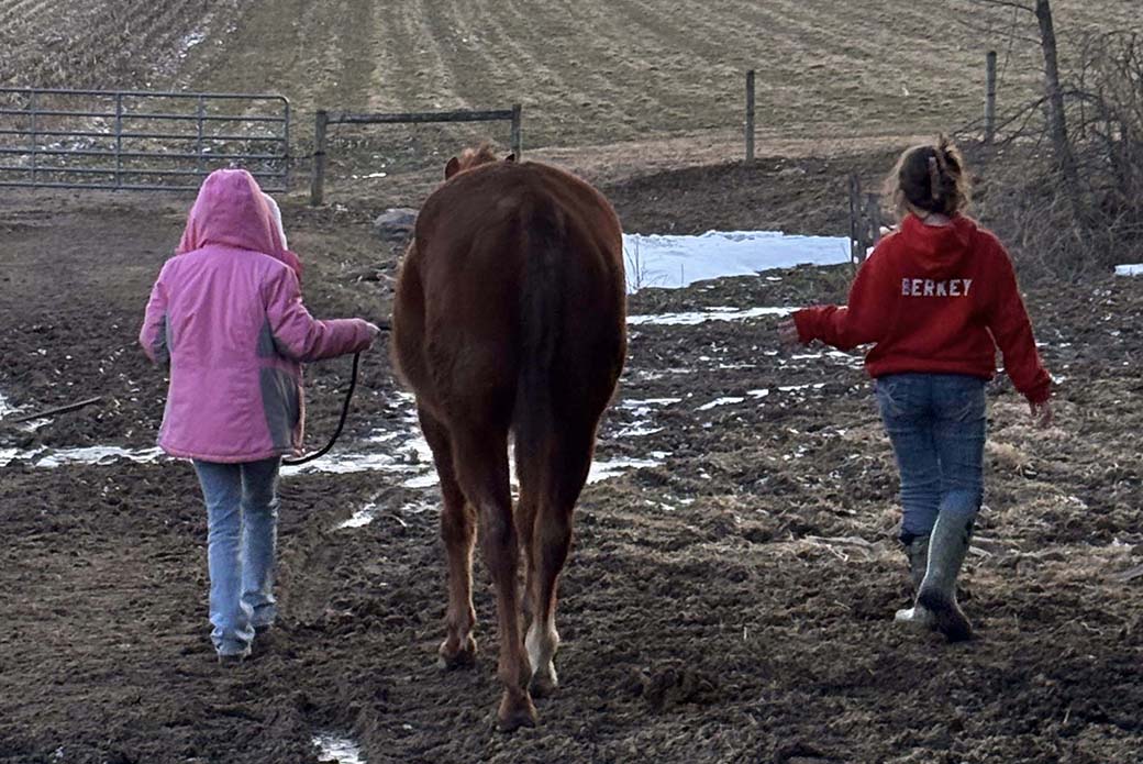 Kids with horse in field