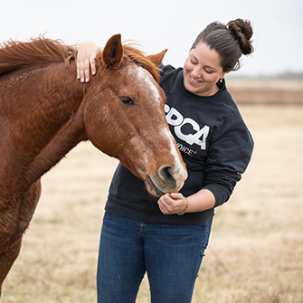 A woman and a horse