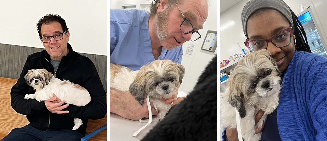 From left: Julie and Marlon; in surgery prep with Christopher Fagan, senior veterinary assistant; and with Maylodie Badette, client operations manager.