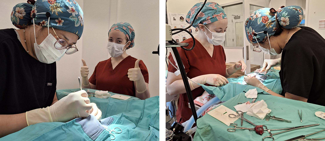 Drs. Evelyn Cintron (in black scrubs) and Eloise Cucui removed Julie’s eye and spayed her