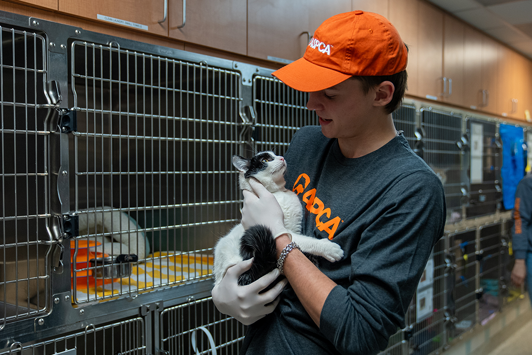 Volunteer helping cat