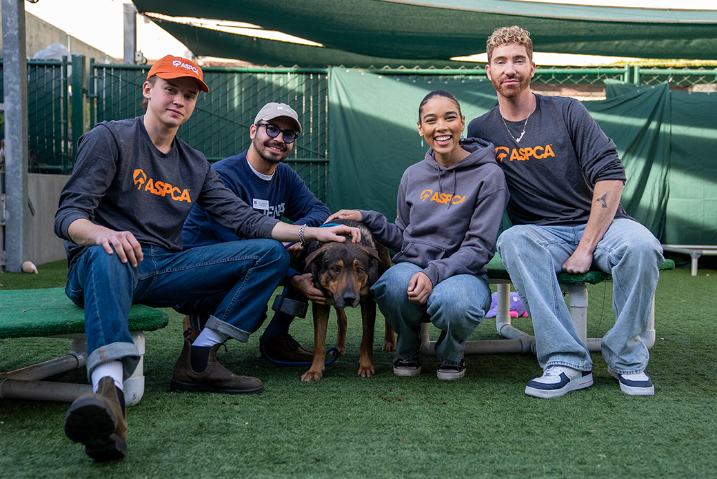 Maxwell Jenkins, Pasadena Humane staff, Alexandra Shipp and Bobby Newberry.