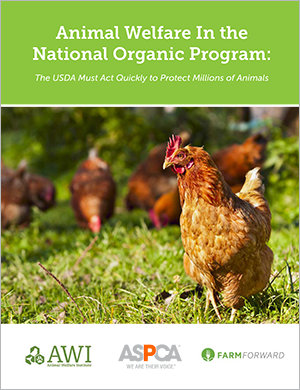 Animal Welfare In the National Organic Program